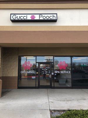 gucci pooch boise.